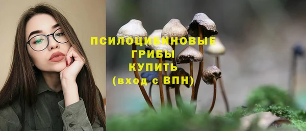 MDMA Пересвет