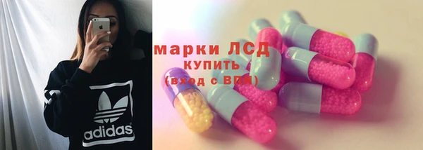 ГАЛЛЮЦИНОГЕННЫЕ ГРИБЫ Аркадак