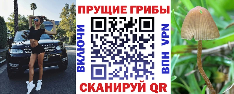 купить   Барабинск  Псилоцибиновые грибы мухоморы 